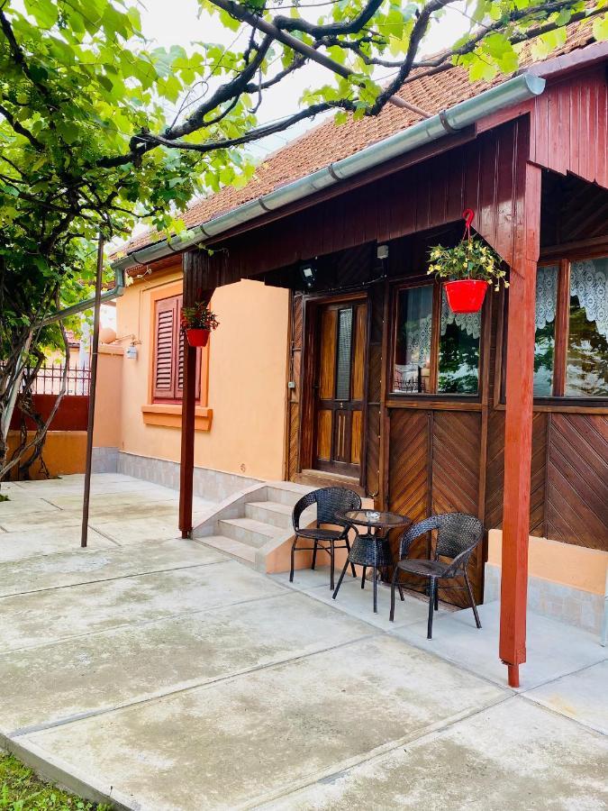 Casa Victoria Hotel Cartisoara Luaran gambar