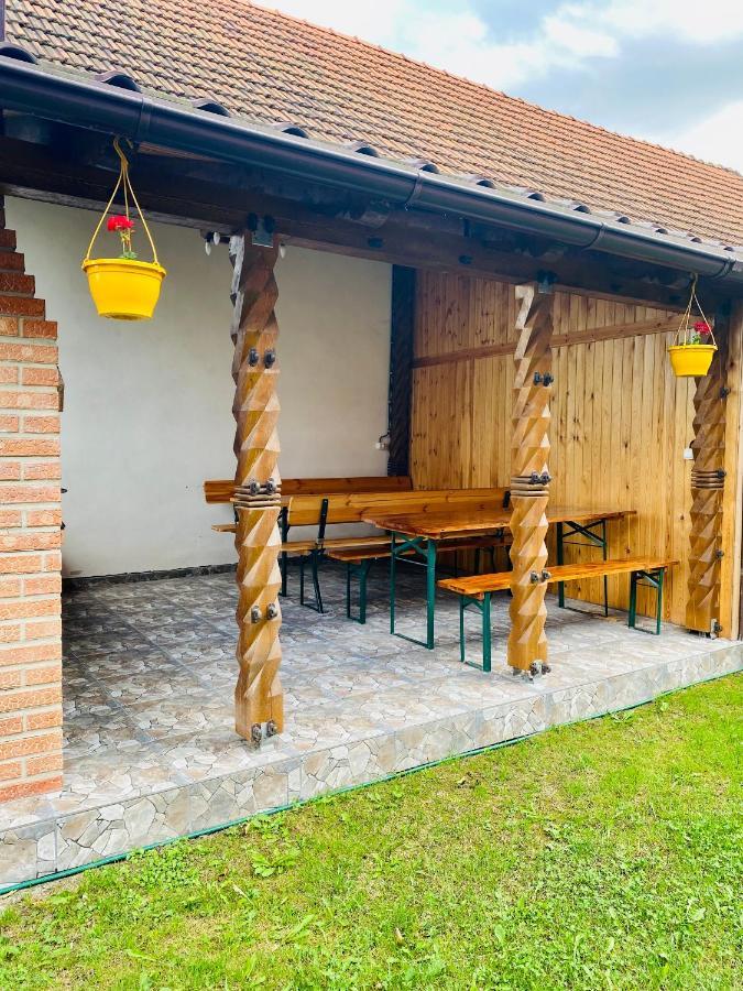 Casa Victoria Hotel Cartisoara Luaran gambar