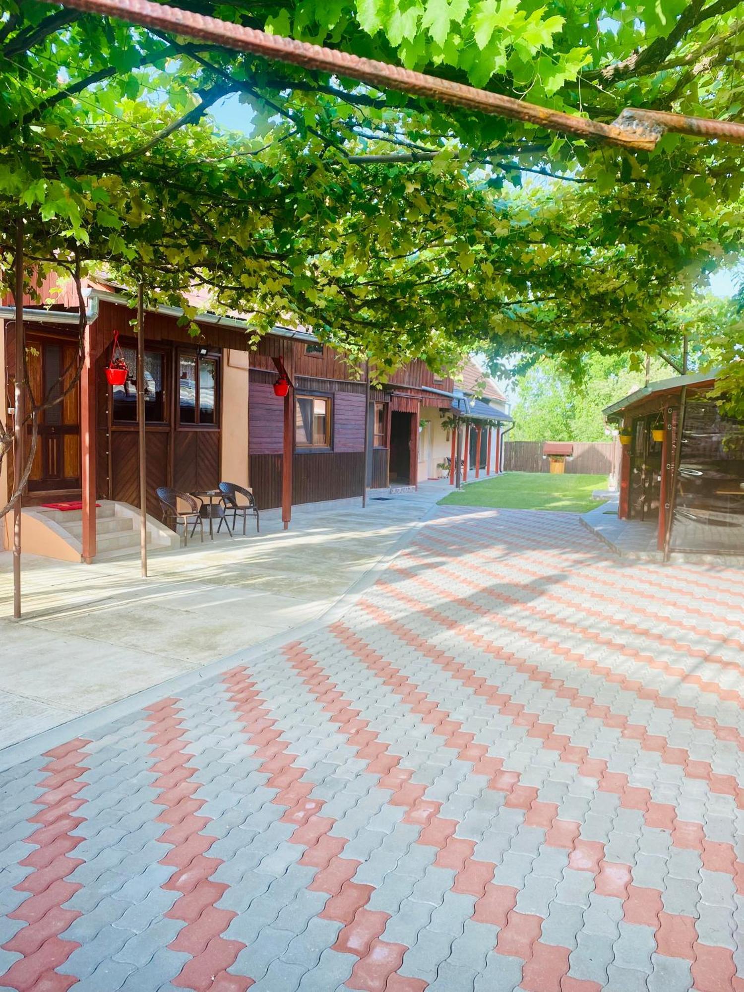 Casa Victoria Hotel Cartisoara Luaran gambar